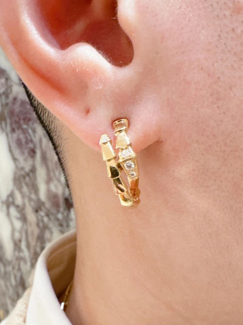 chr1st1an D10r earrings